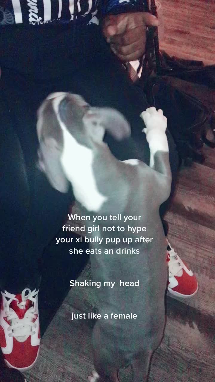 @dramaUpdhasko