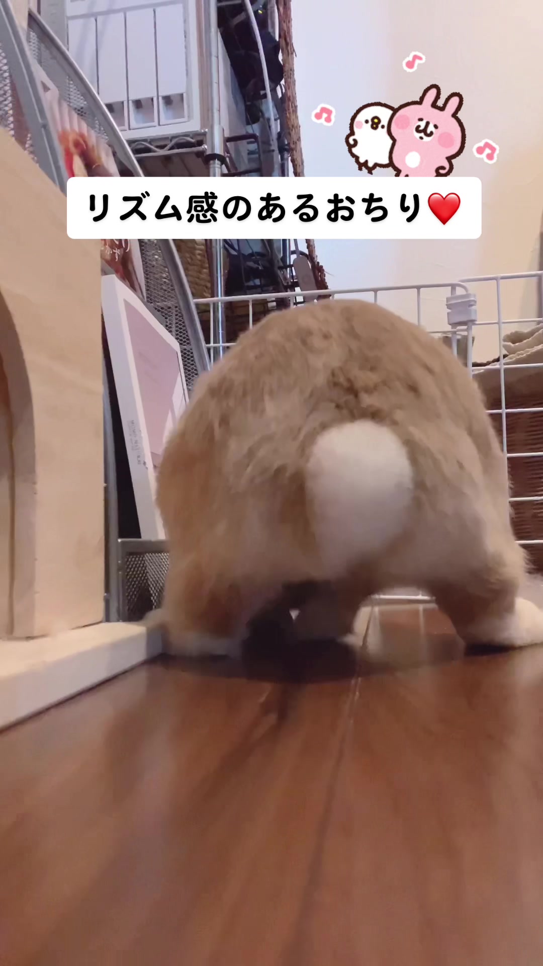 @うさぎと暮らす田中