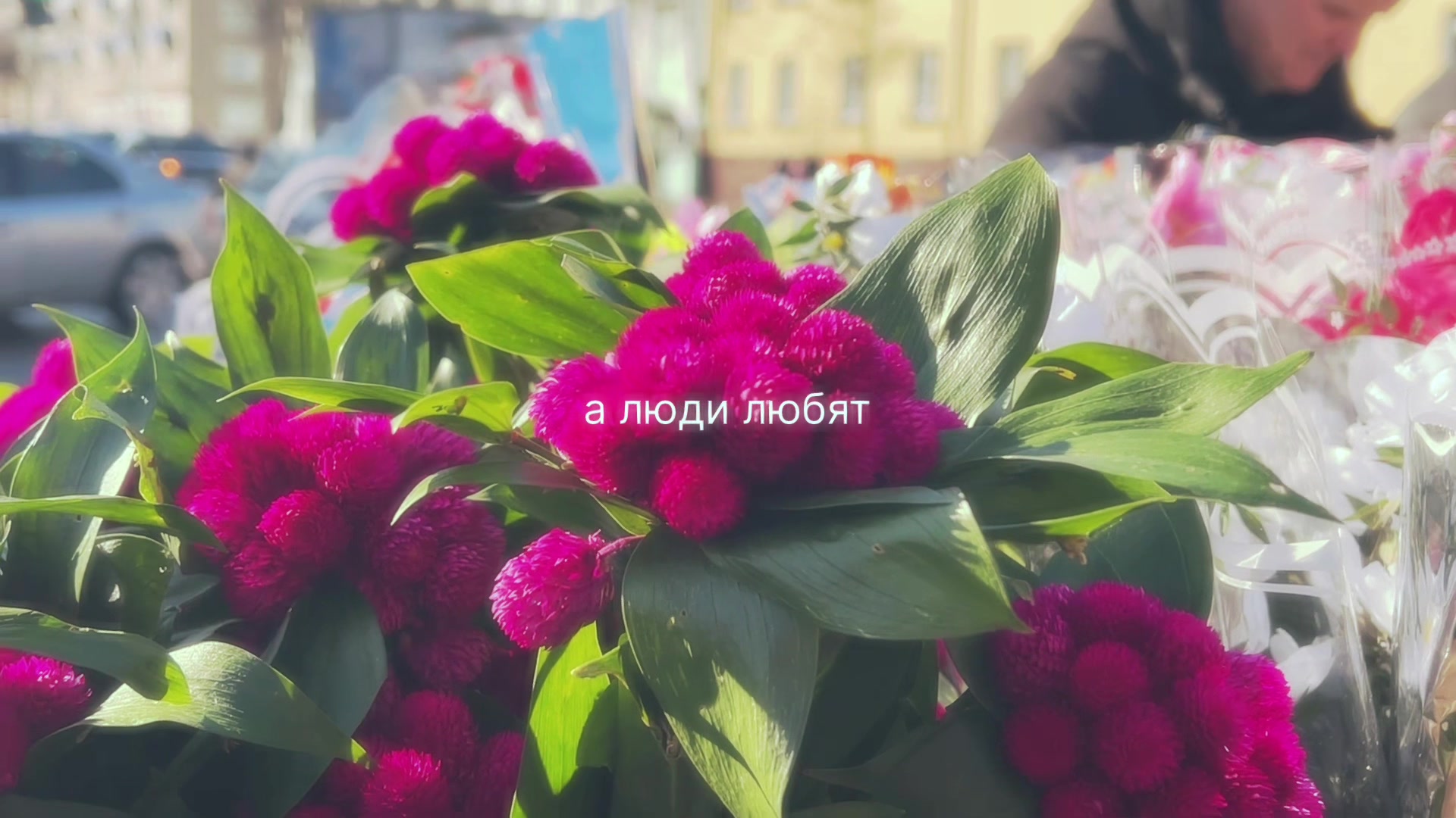 @тремаси