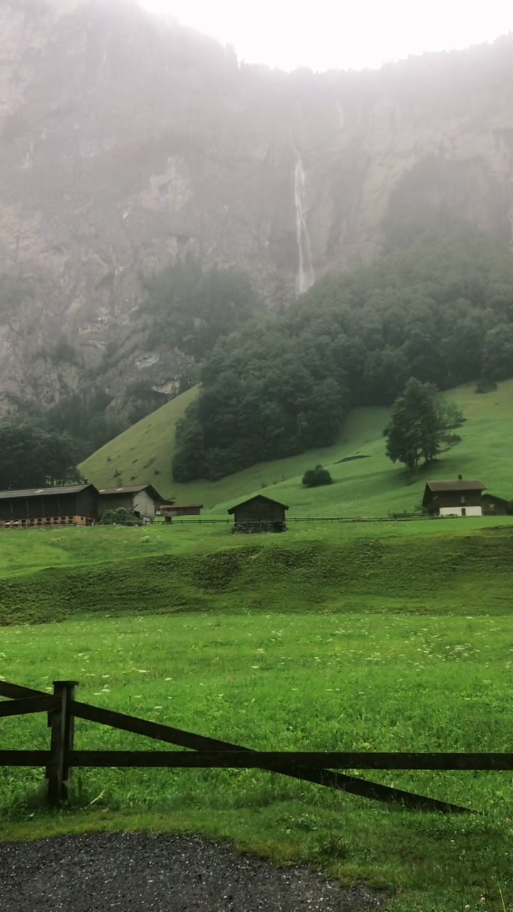 @SwissForestElf