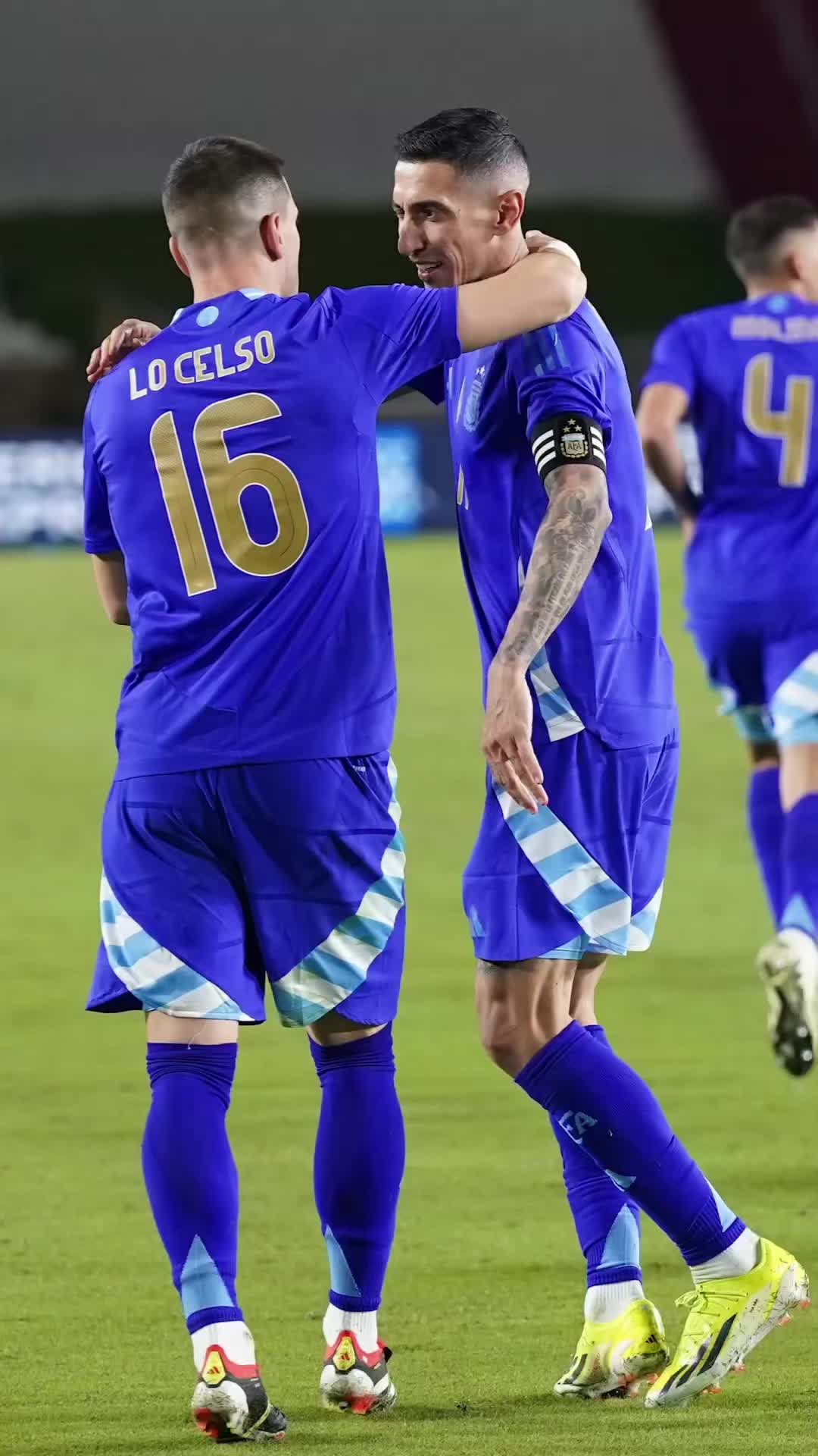 @Mejia Mejia