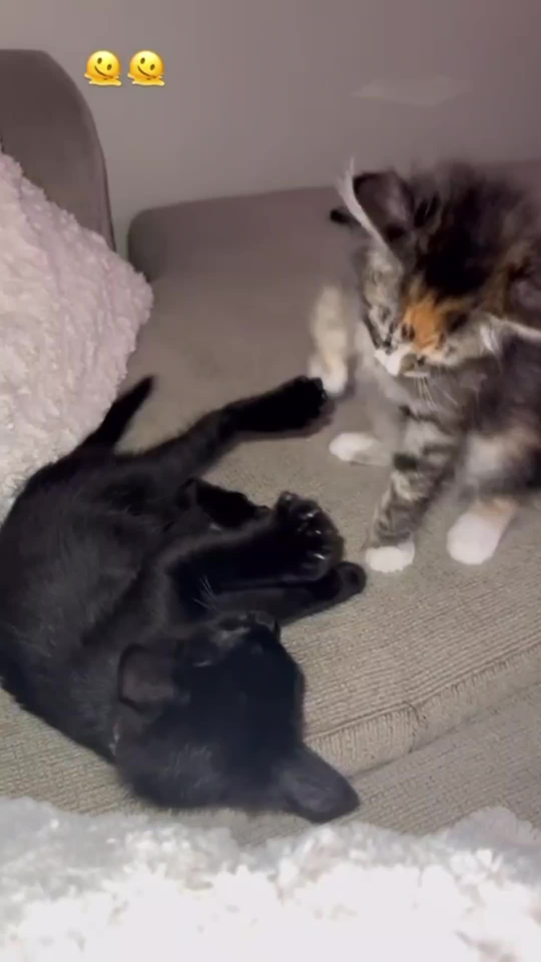 @Superkitties