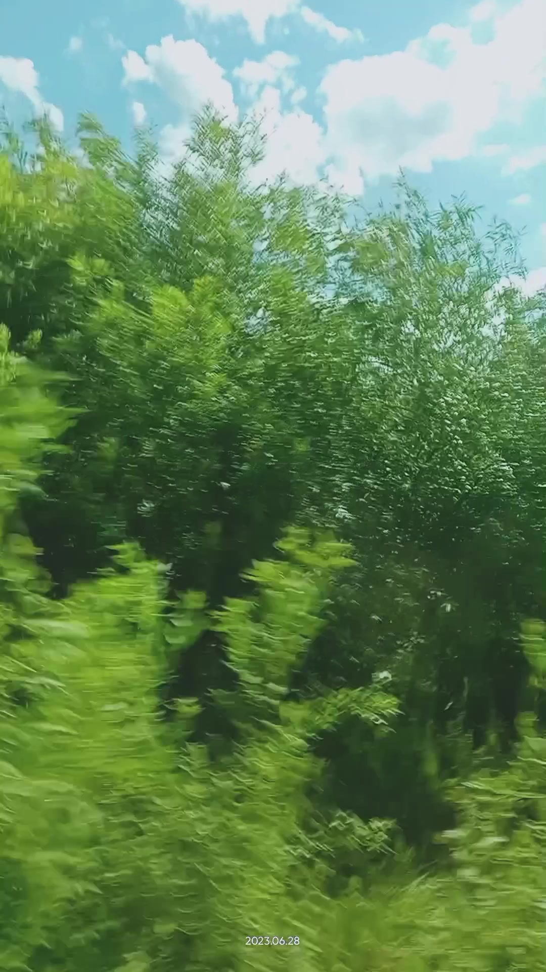 @Даря @