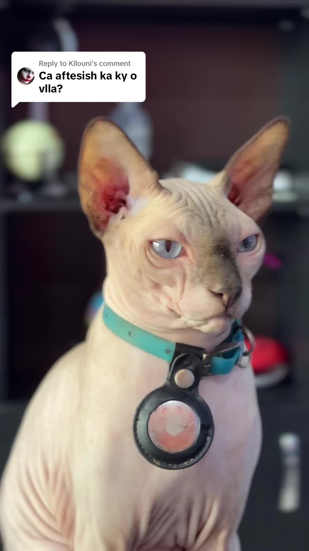@lord.hugo