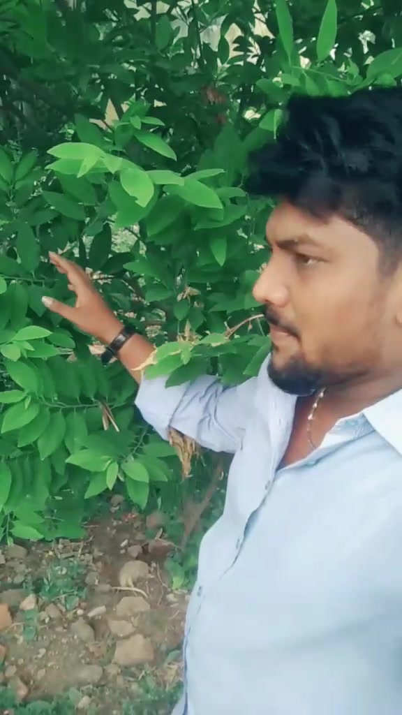@Satheeshkumar