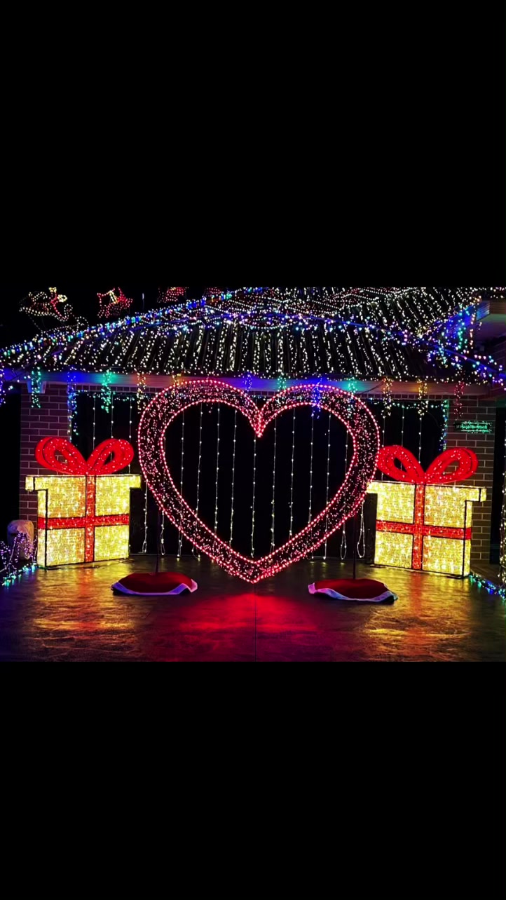 @swansonachristmaslights