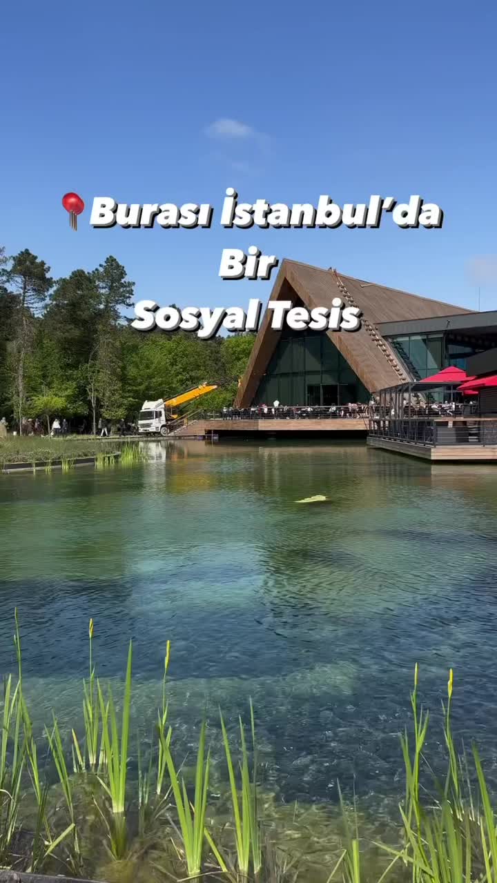 @gezendiva