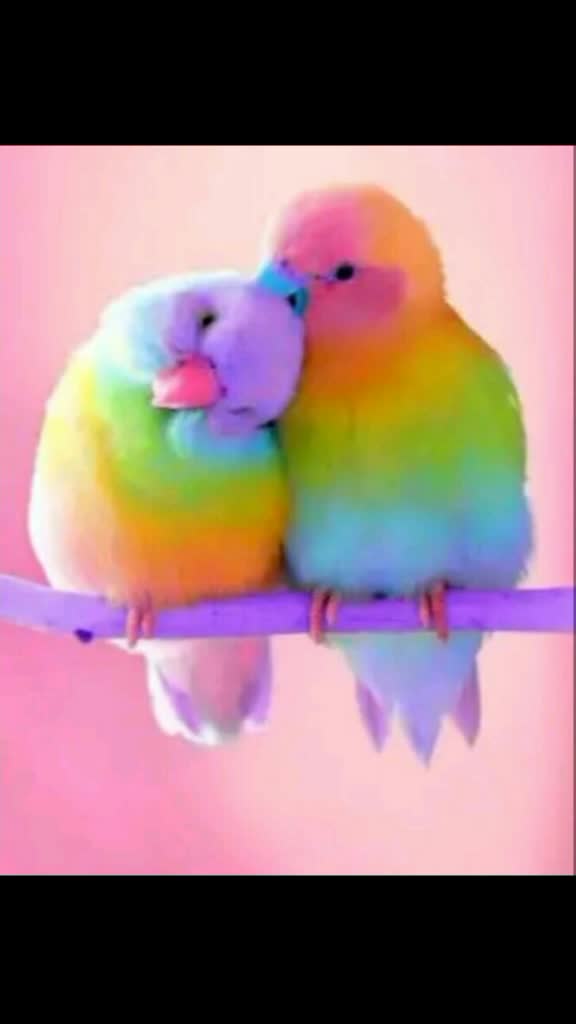 @user09469222006