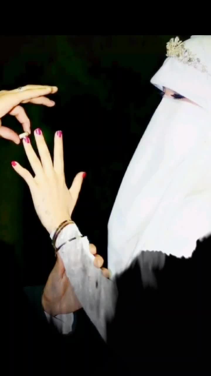 @rabbit 431