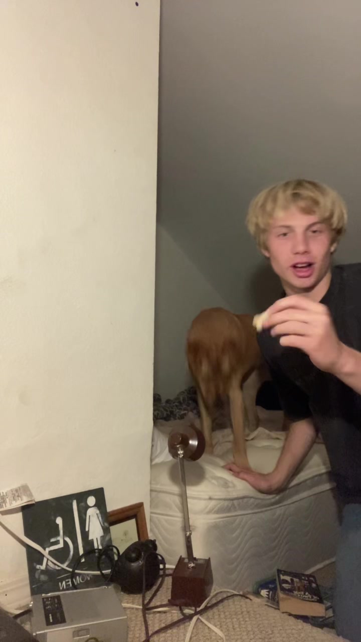 @Dylan
