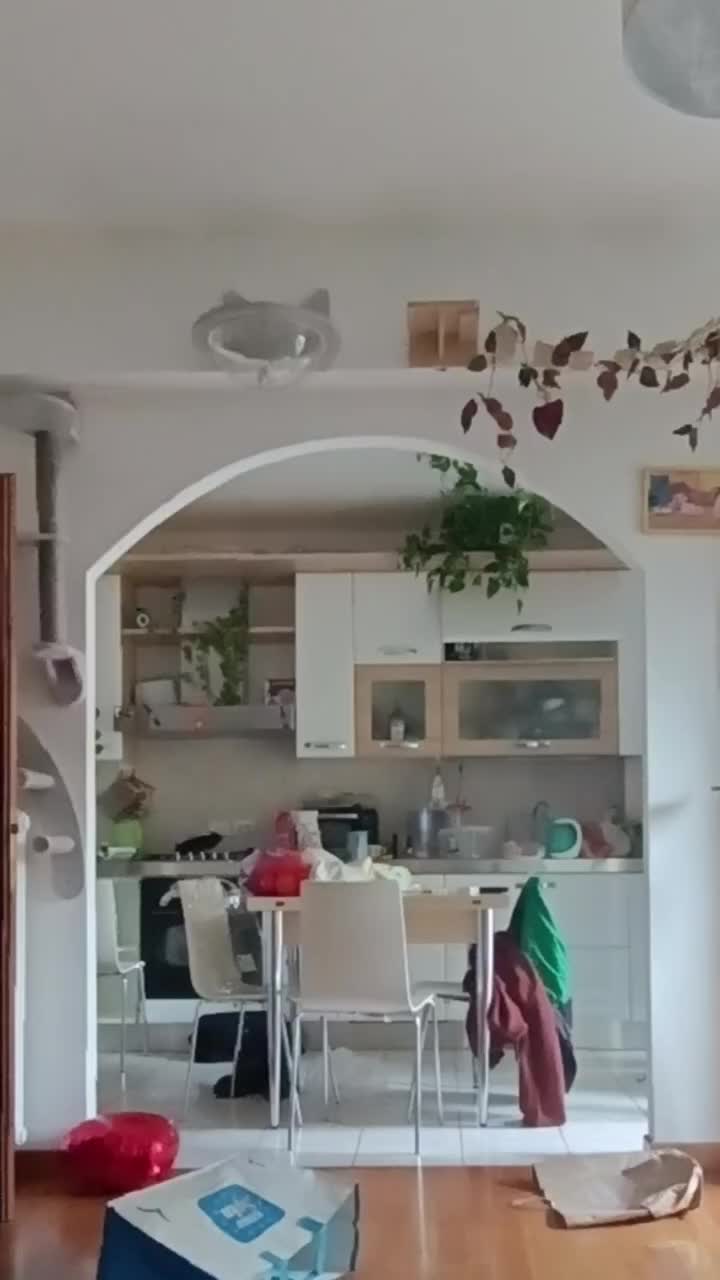 @Giuliaanxiety