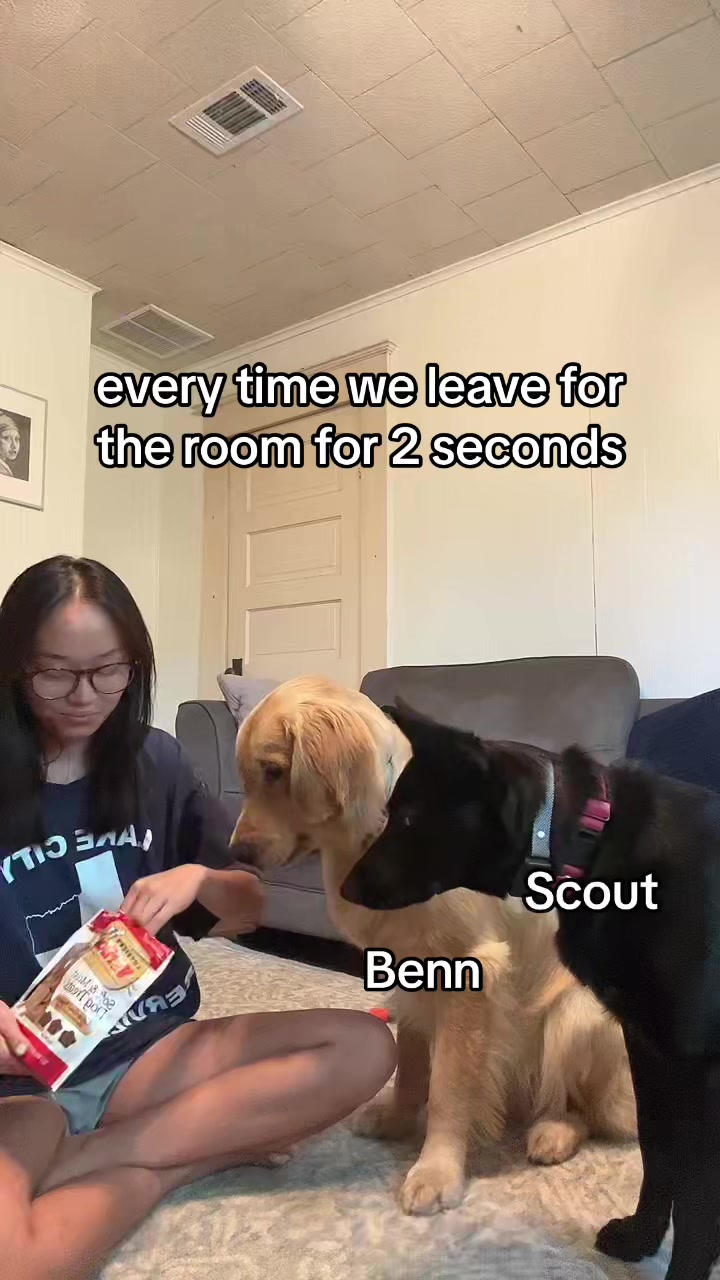 @Scout and Benn