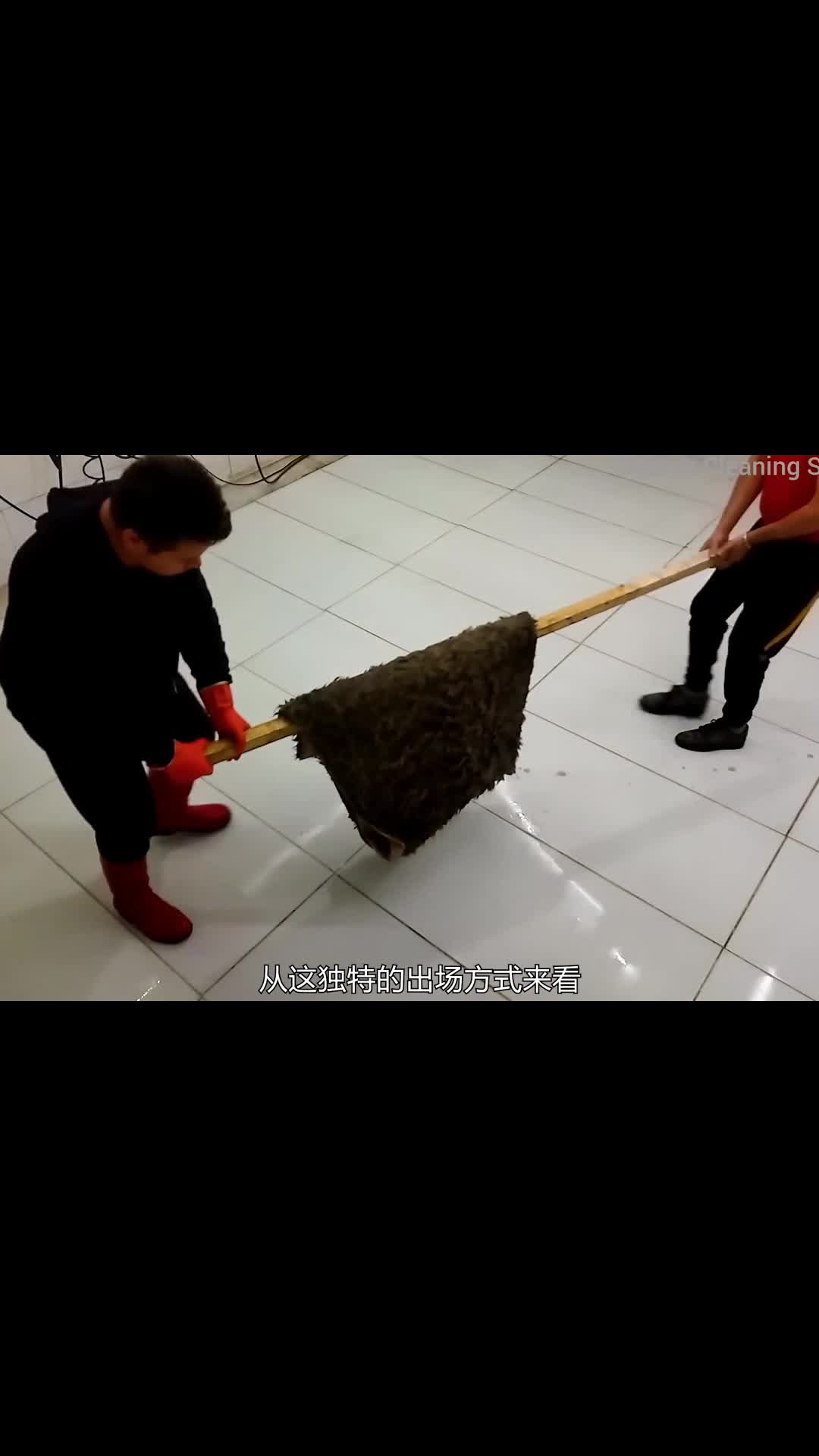 @毯哥