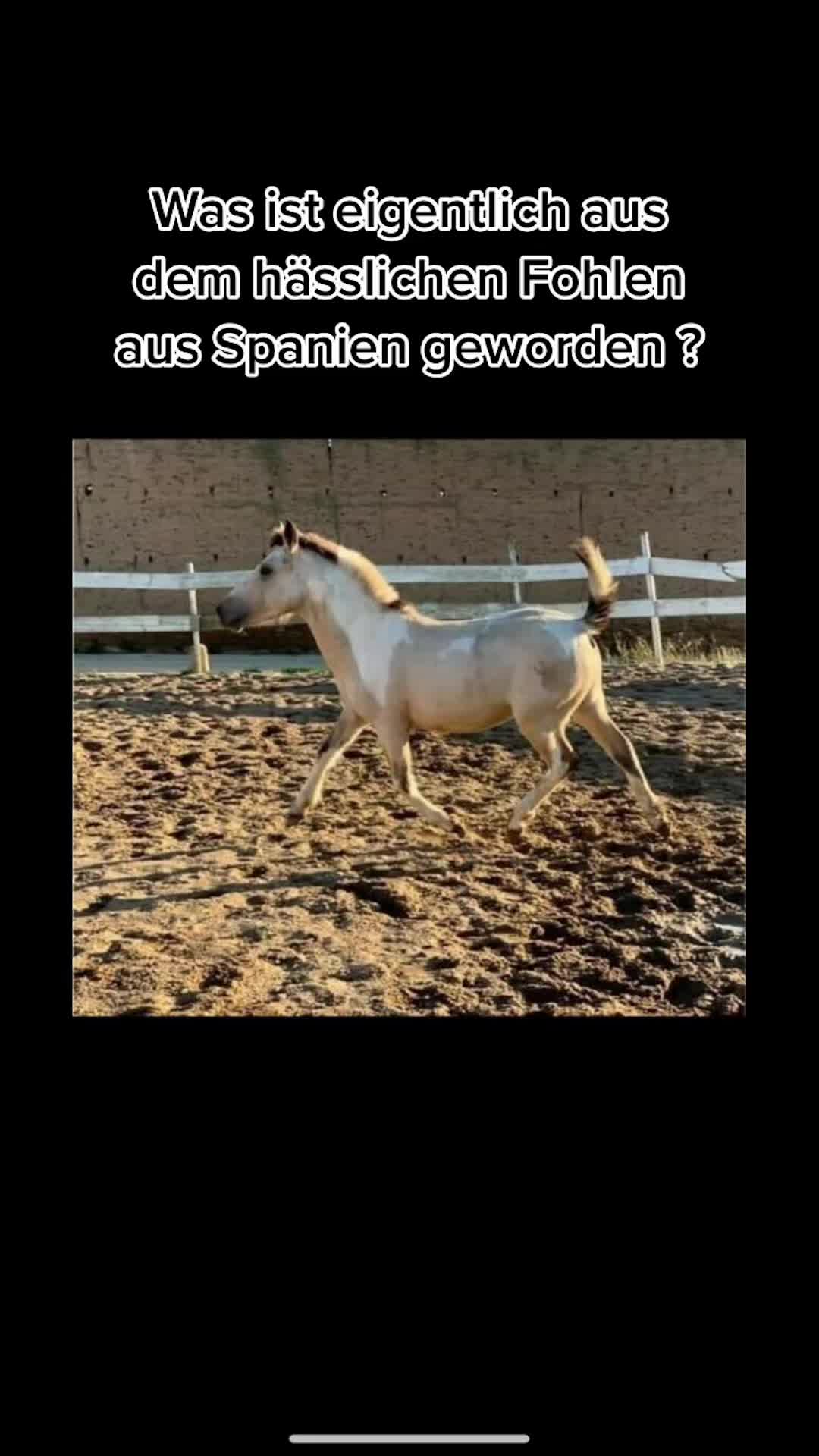 @Nathalie_shmt