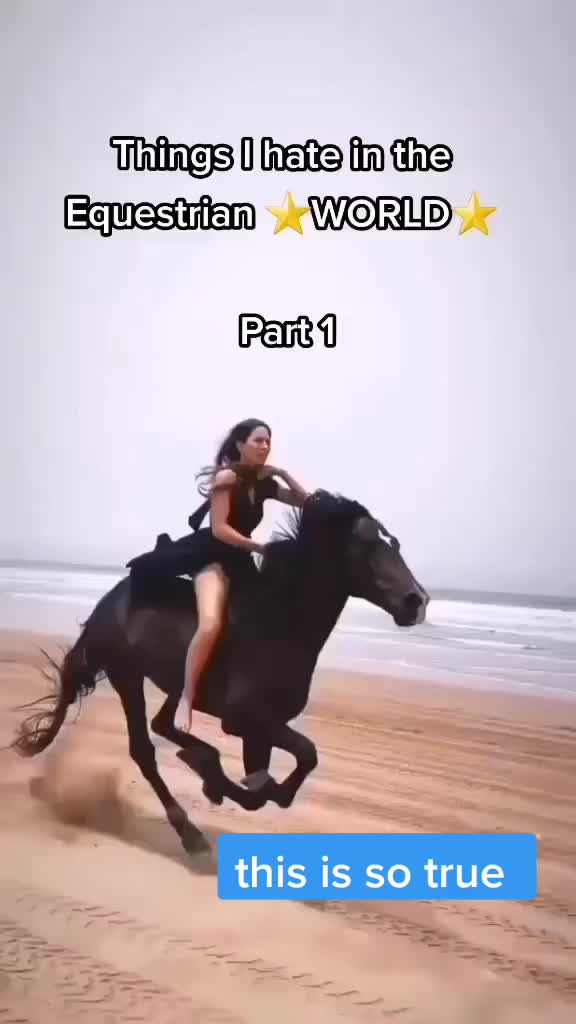 @horsie_rider