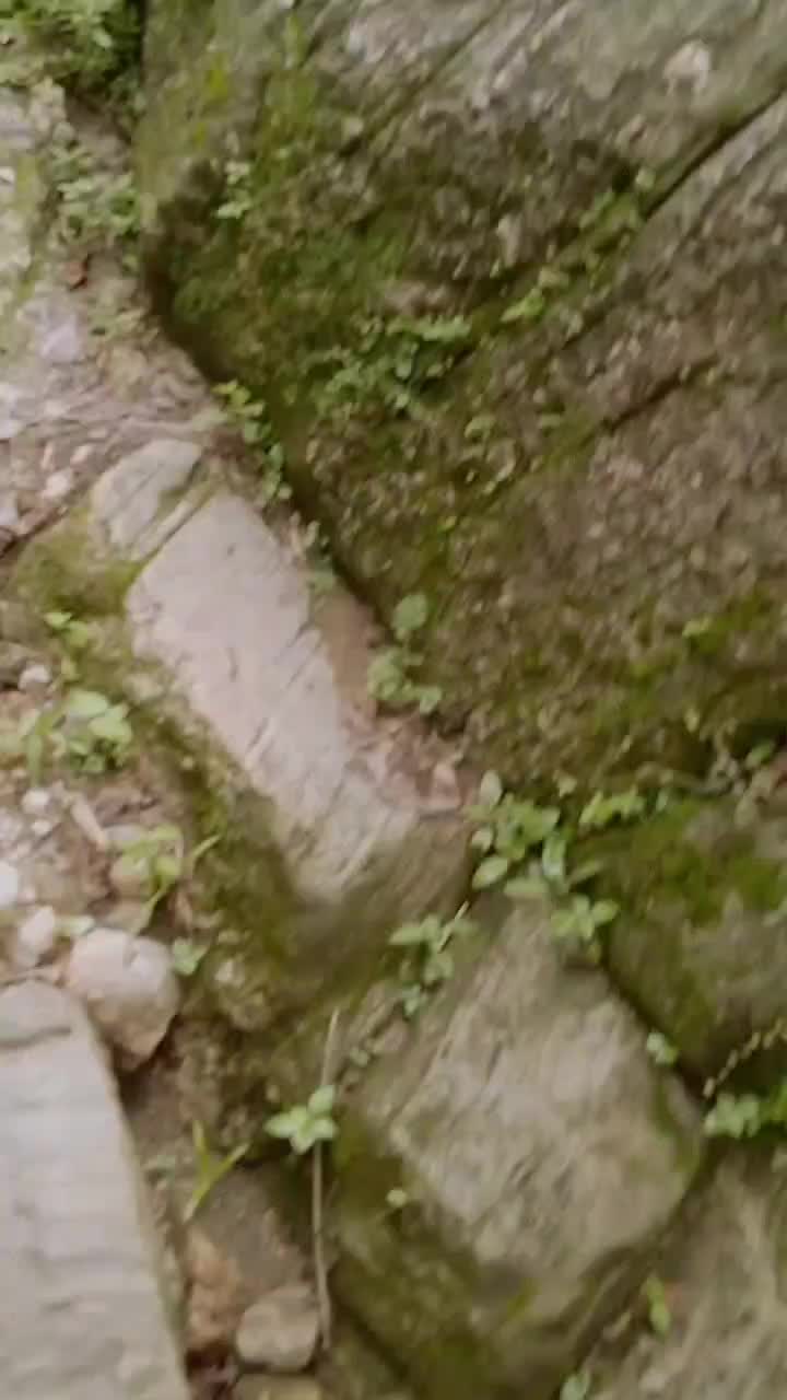 @nilubhai7999
