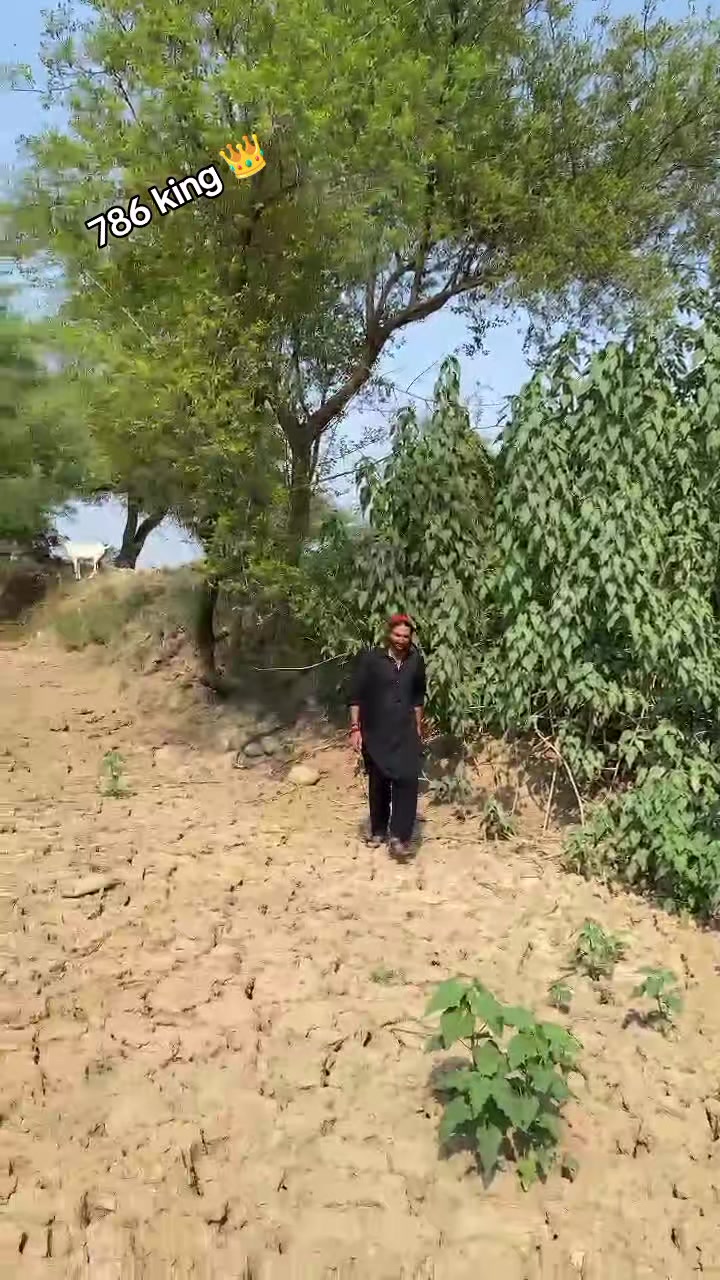@چوہدری نثار مندیال