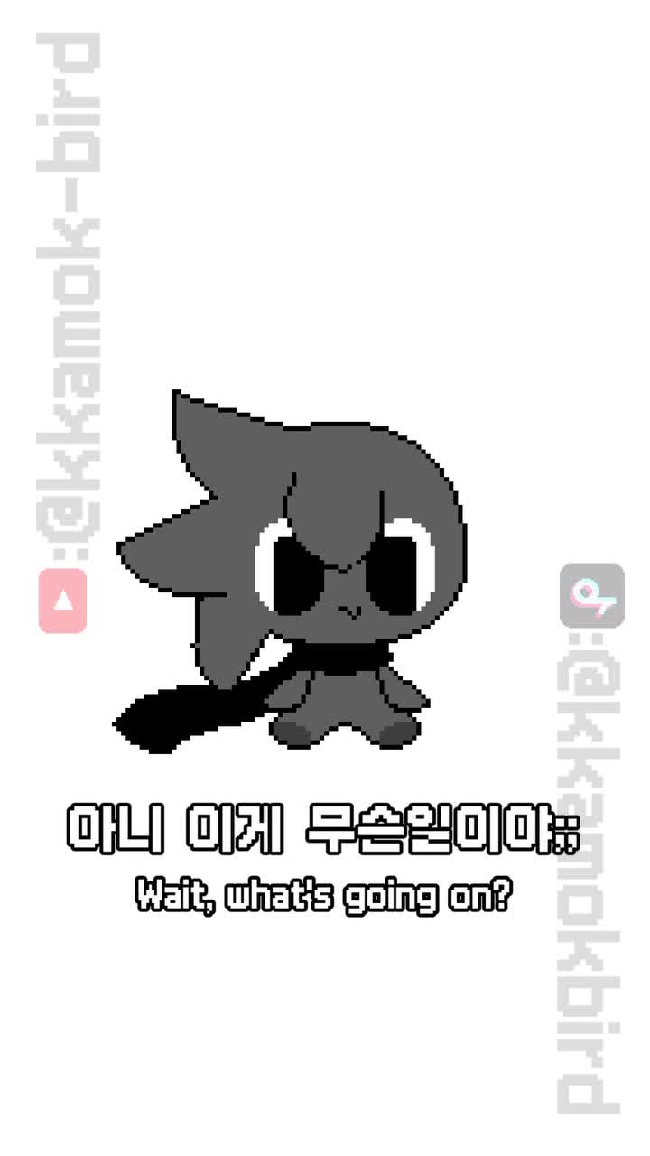 @까먹새 Kkamok-bird