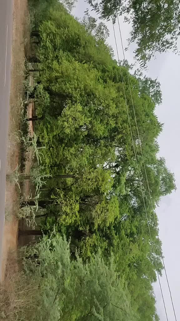 @தனிமையின் காதலன் 🖤