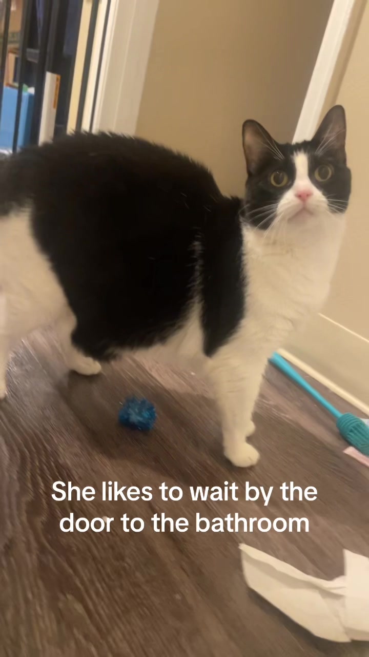 @CharredFlapjack