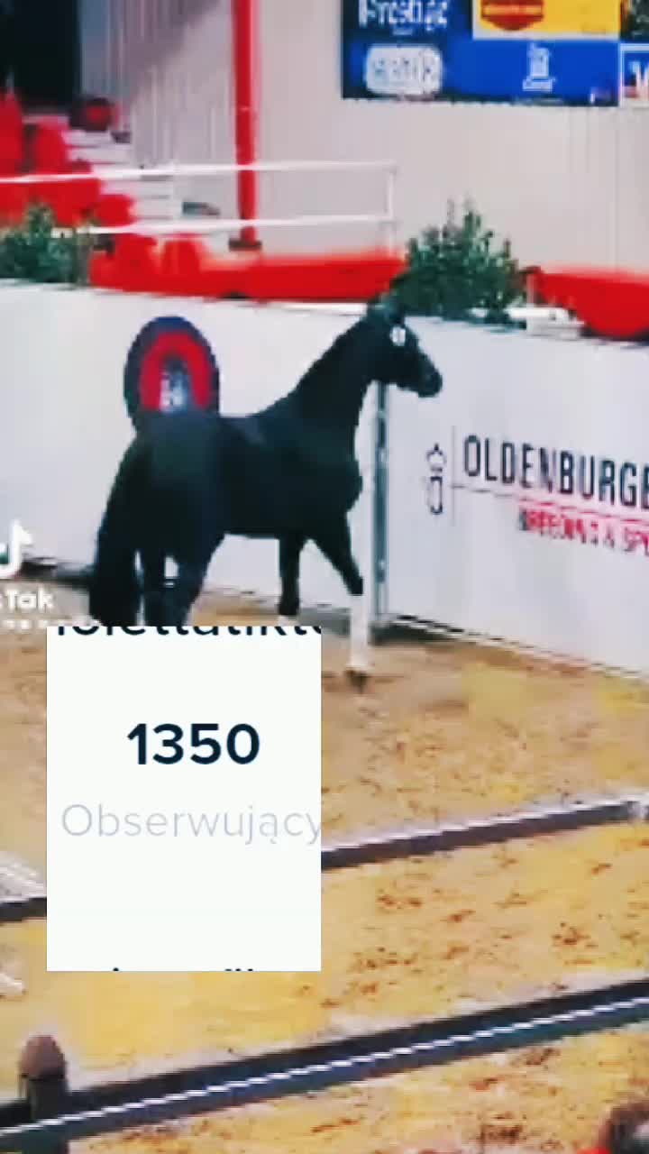 @Violetta3913