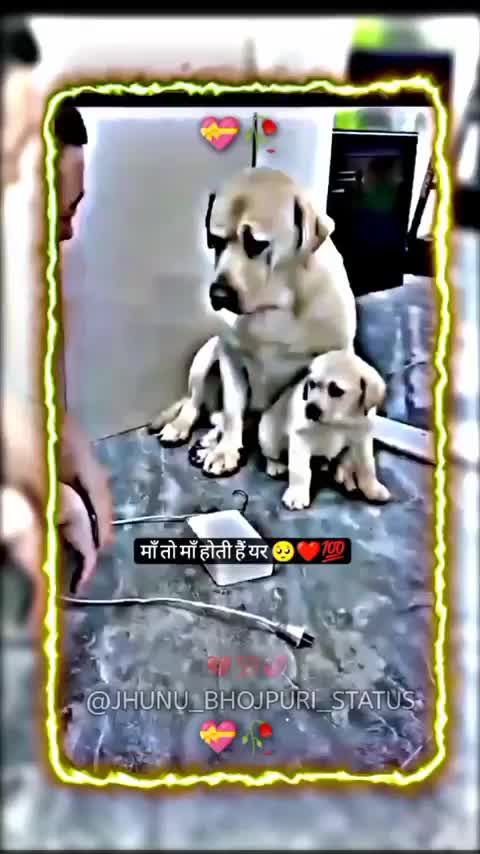 @jaikishan8121