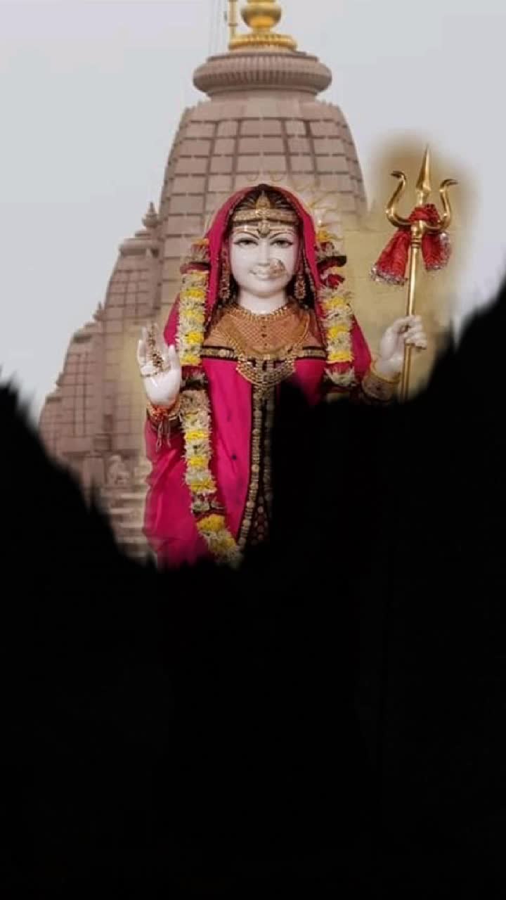 @digbhabharoli076