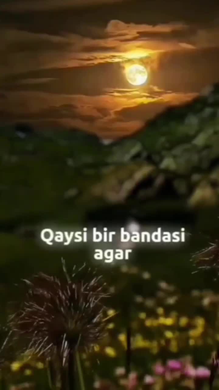 @_NURSHODBEK_