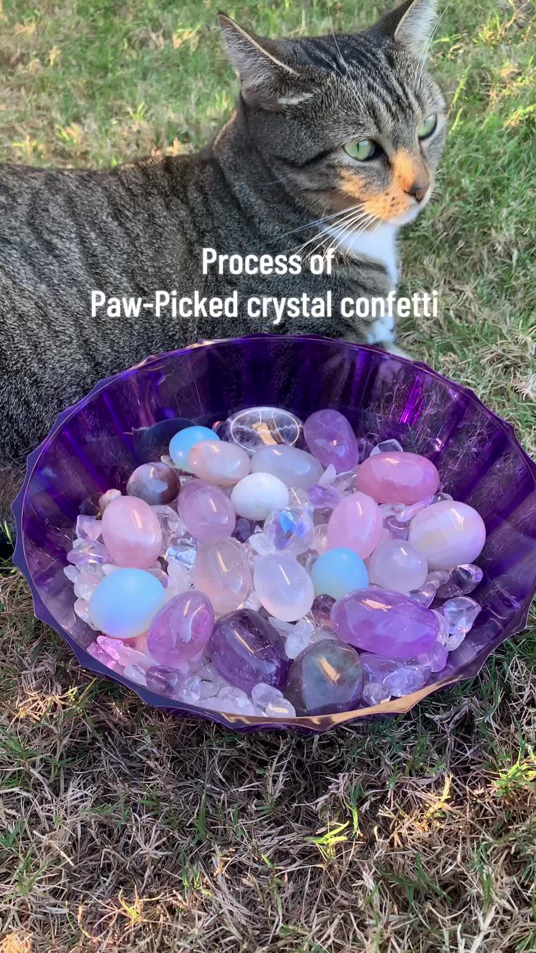 @PURRpleJewelry