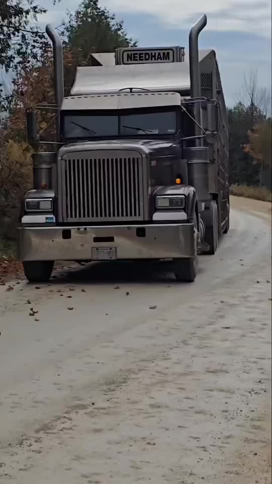 @saltyloadz