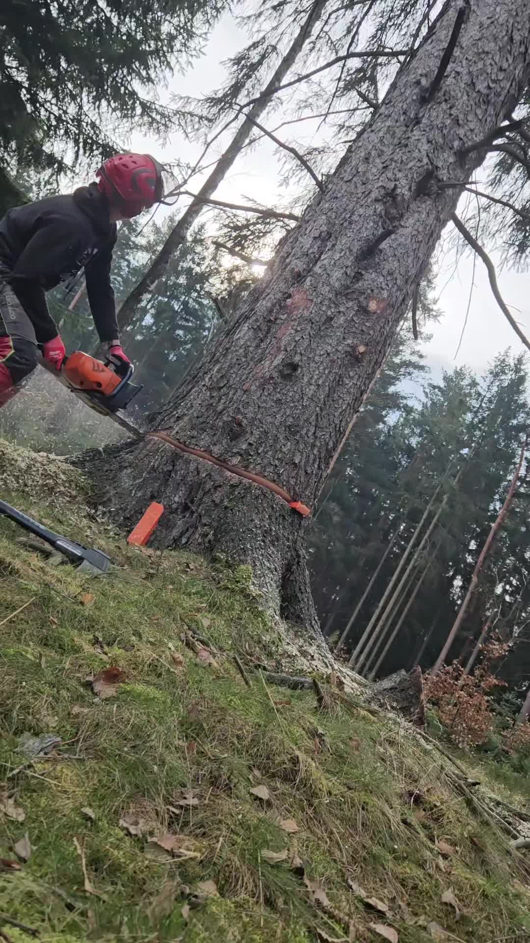 @FandaMrnak