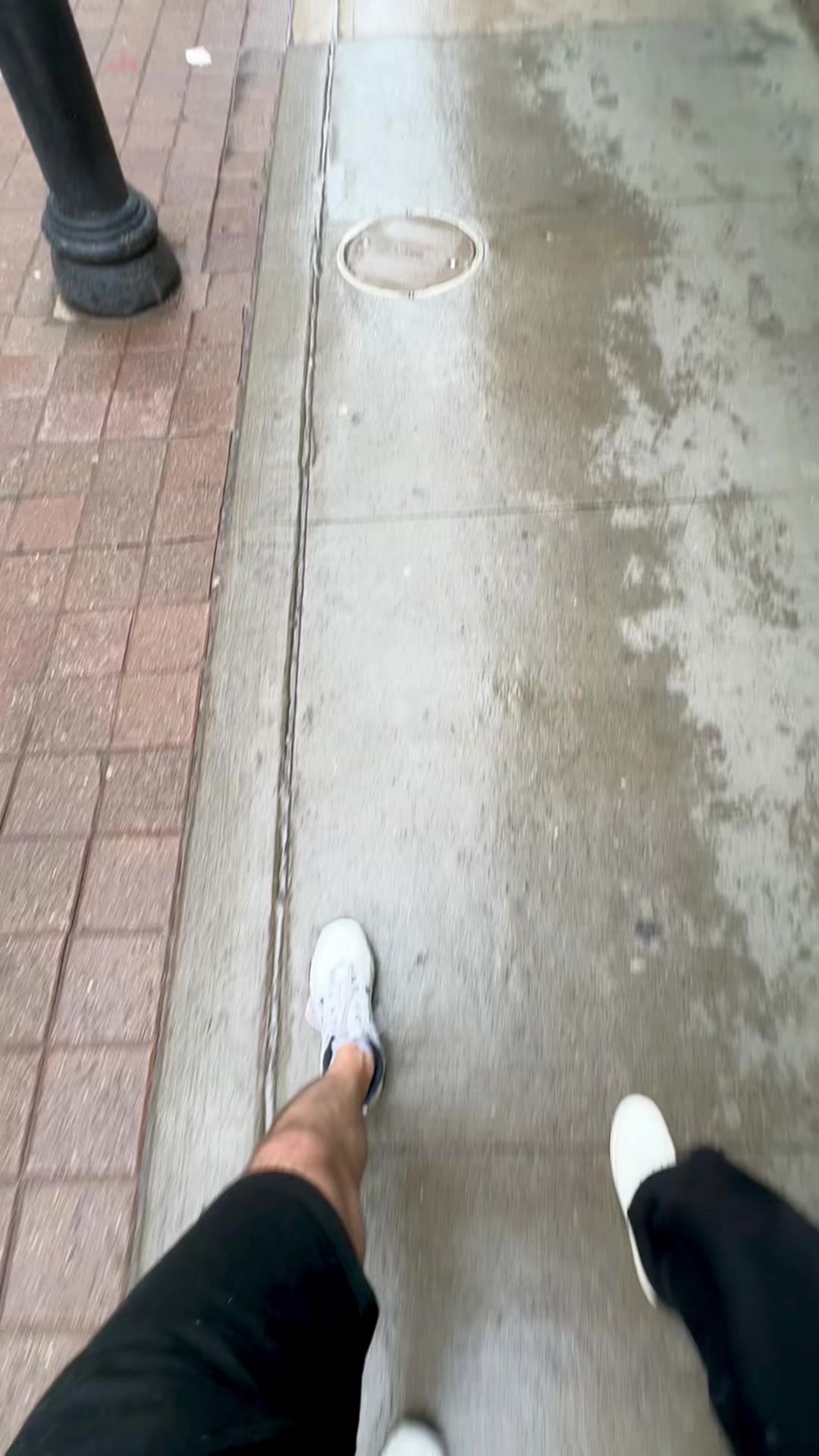 @Vine_grape_A