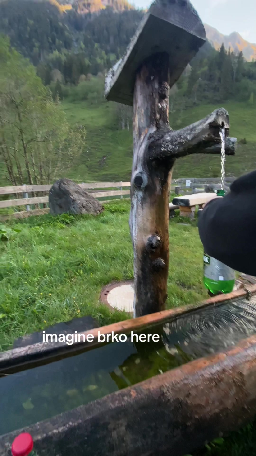@Olmtrxsh