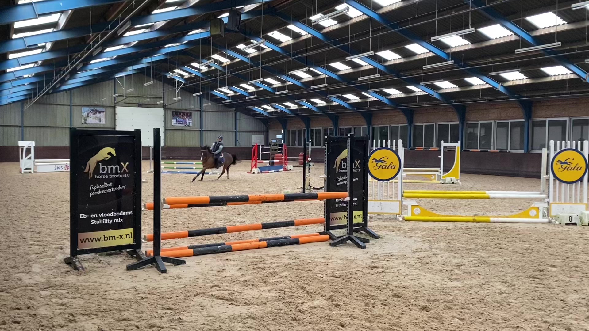 @allroundxgroep🩷🐴