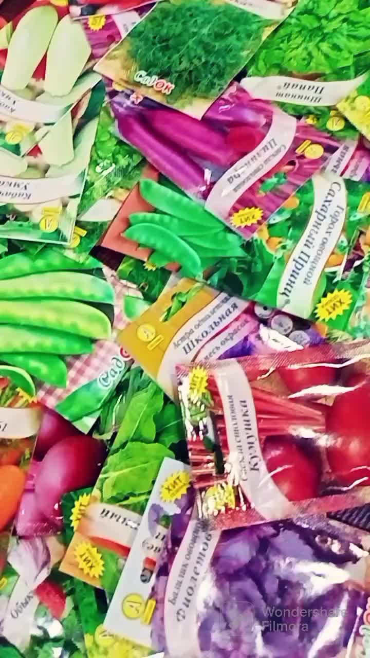 @Revmira🍒🇷🇺