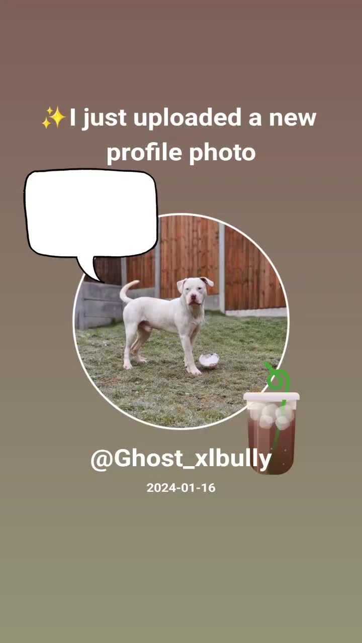 @Ghost_xlbully