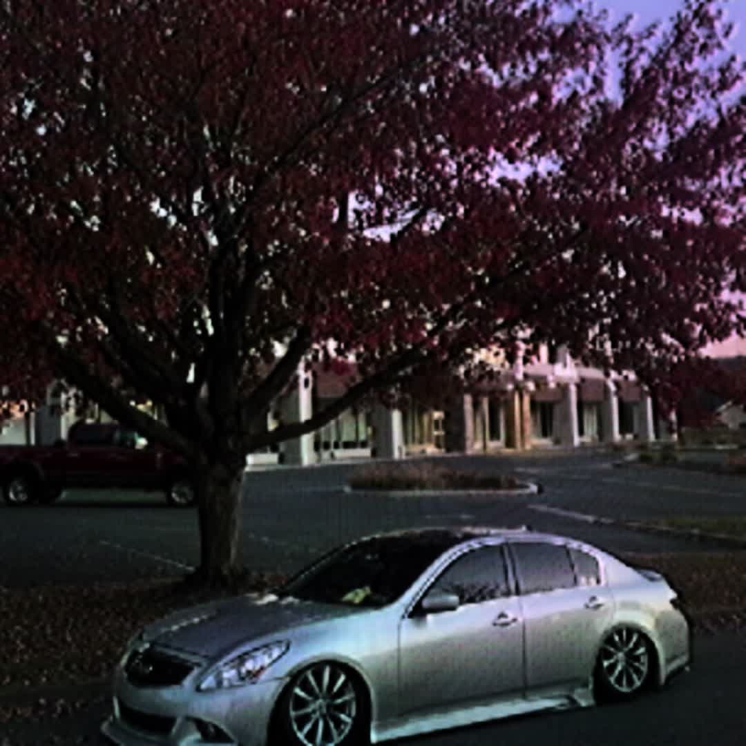 @Zndr