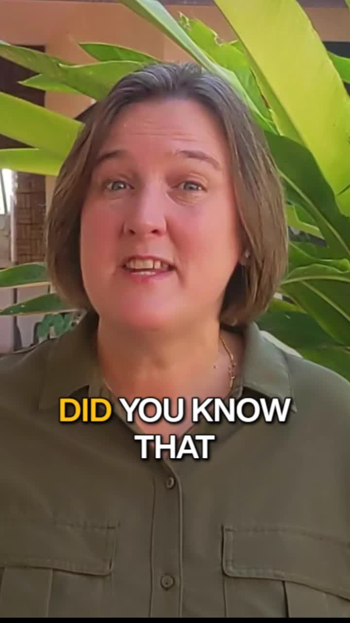 @Cynthia Anderson-DTM