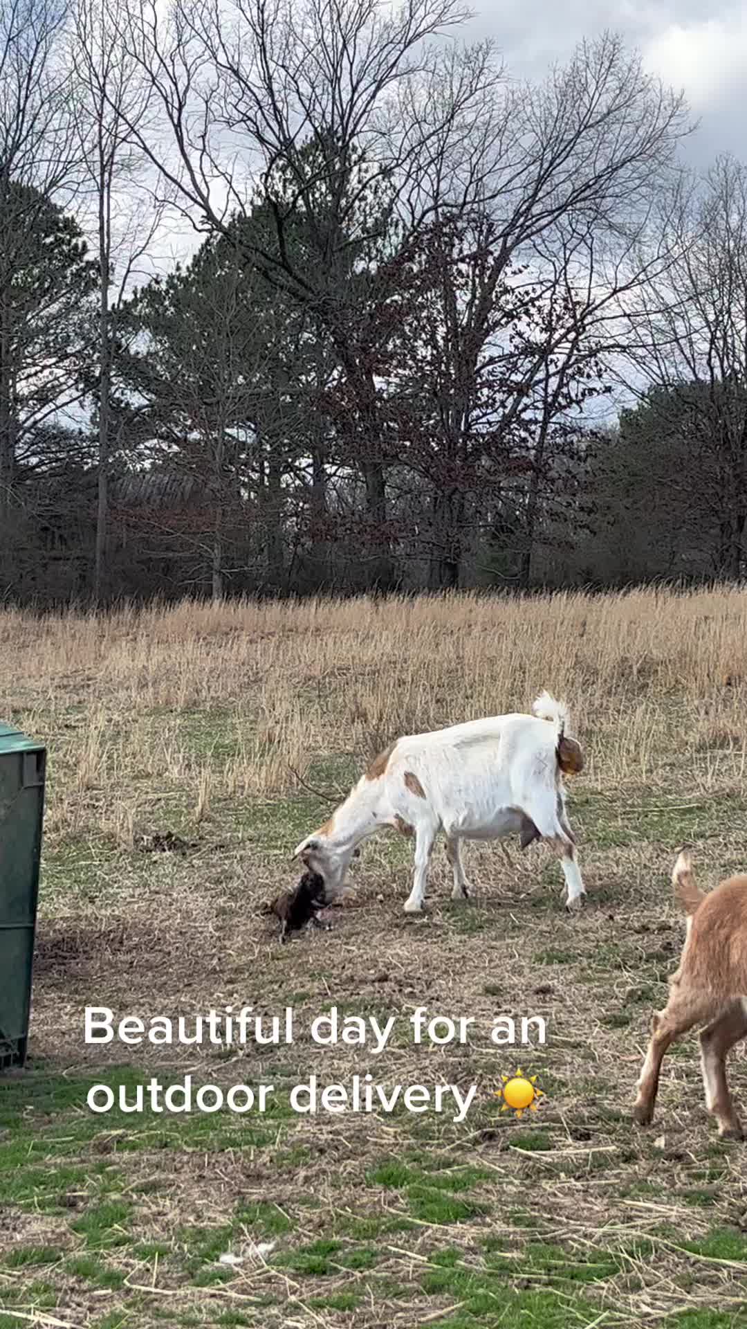 @Erin - The Feathered Goat