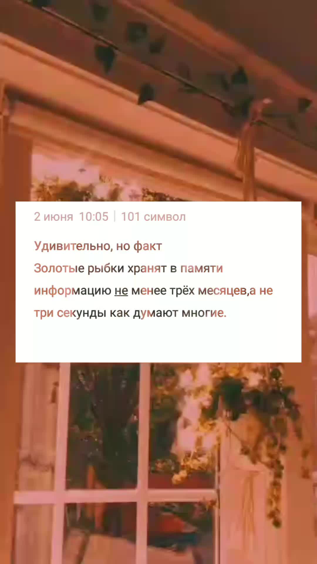 @sabnees