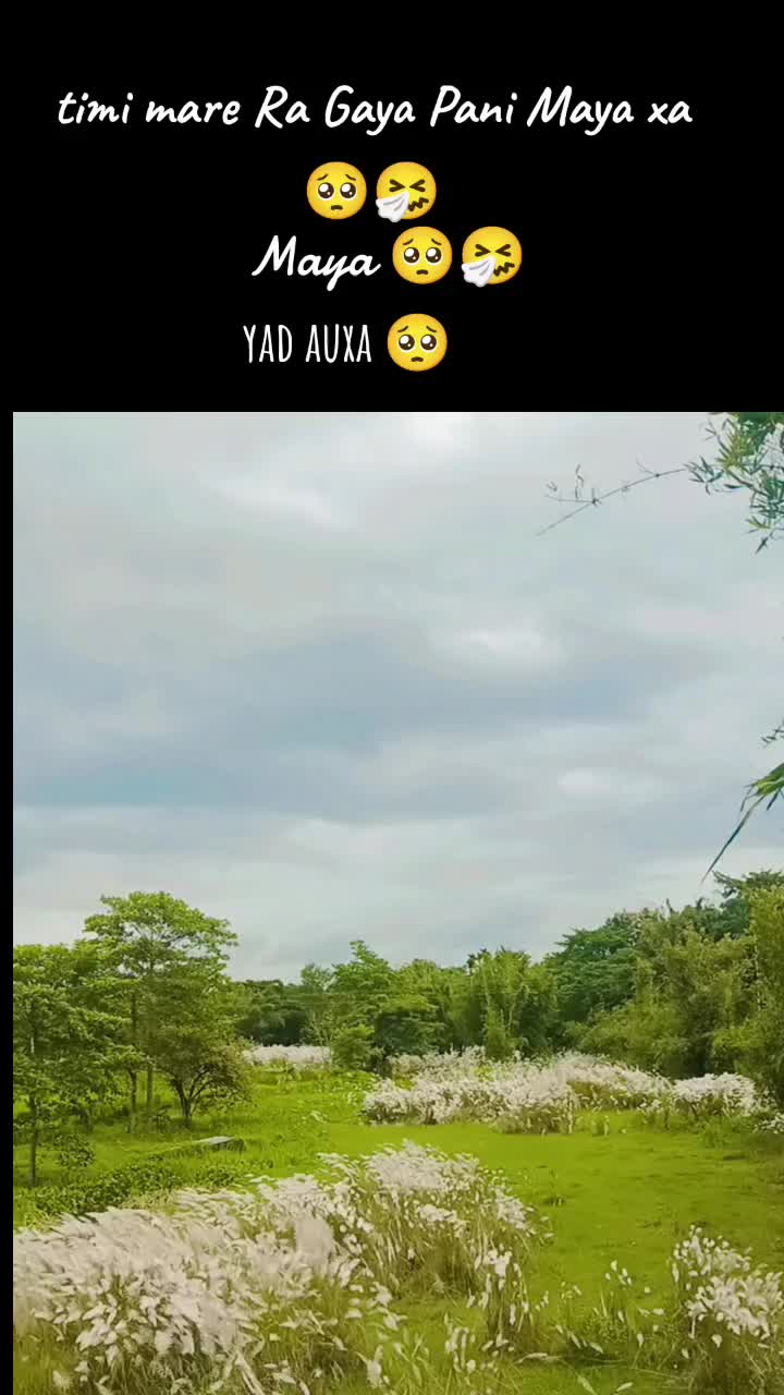 @kabita bhandari