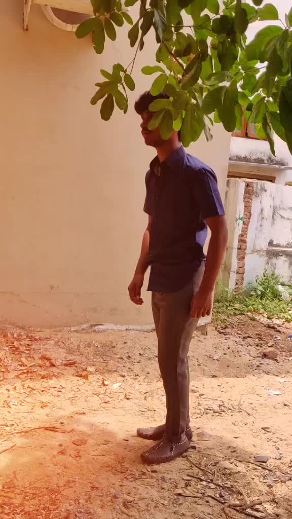 @mahi