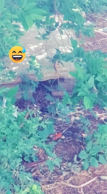 @Raja Kumar Goda