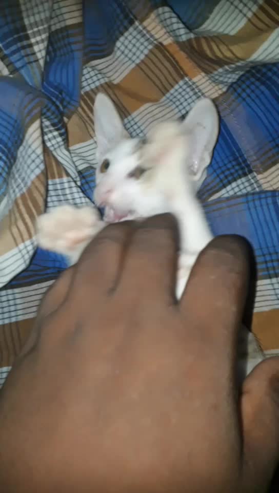 @vîńòďh_Pàĺâšáķùŕřàđù