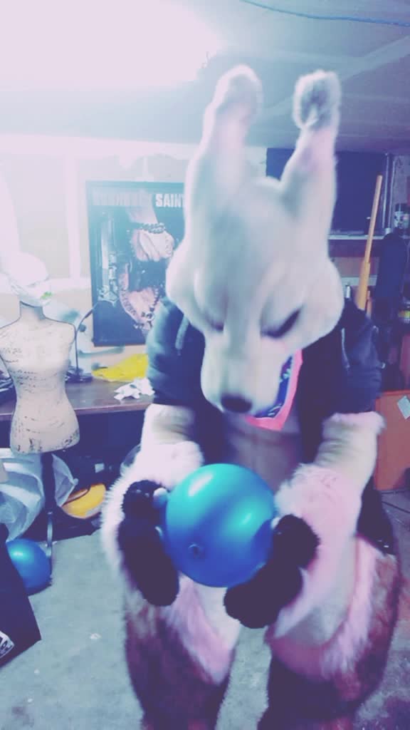 @Y_Screm