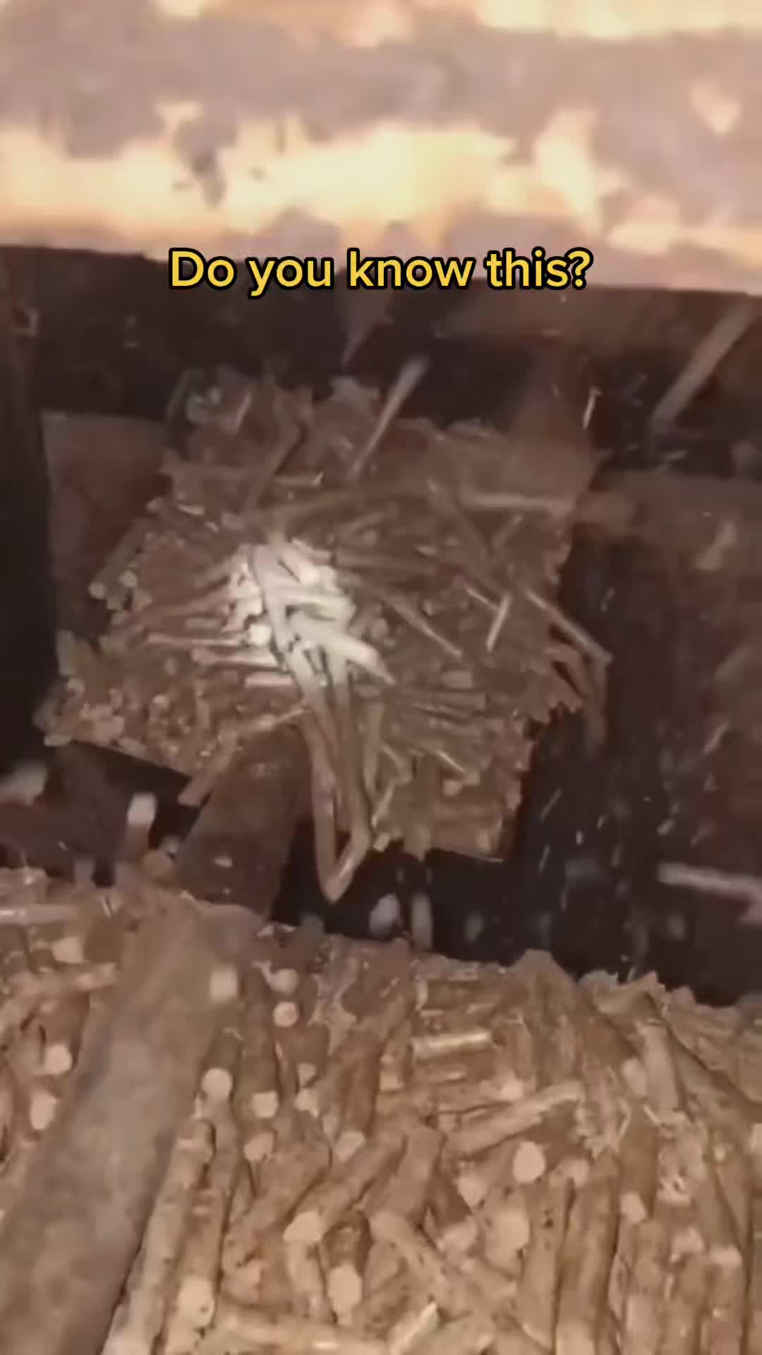 @zhongcyytwx