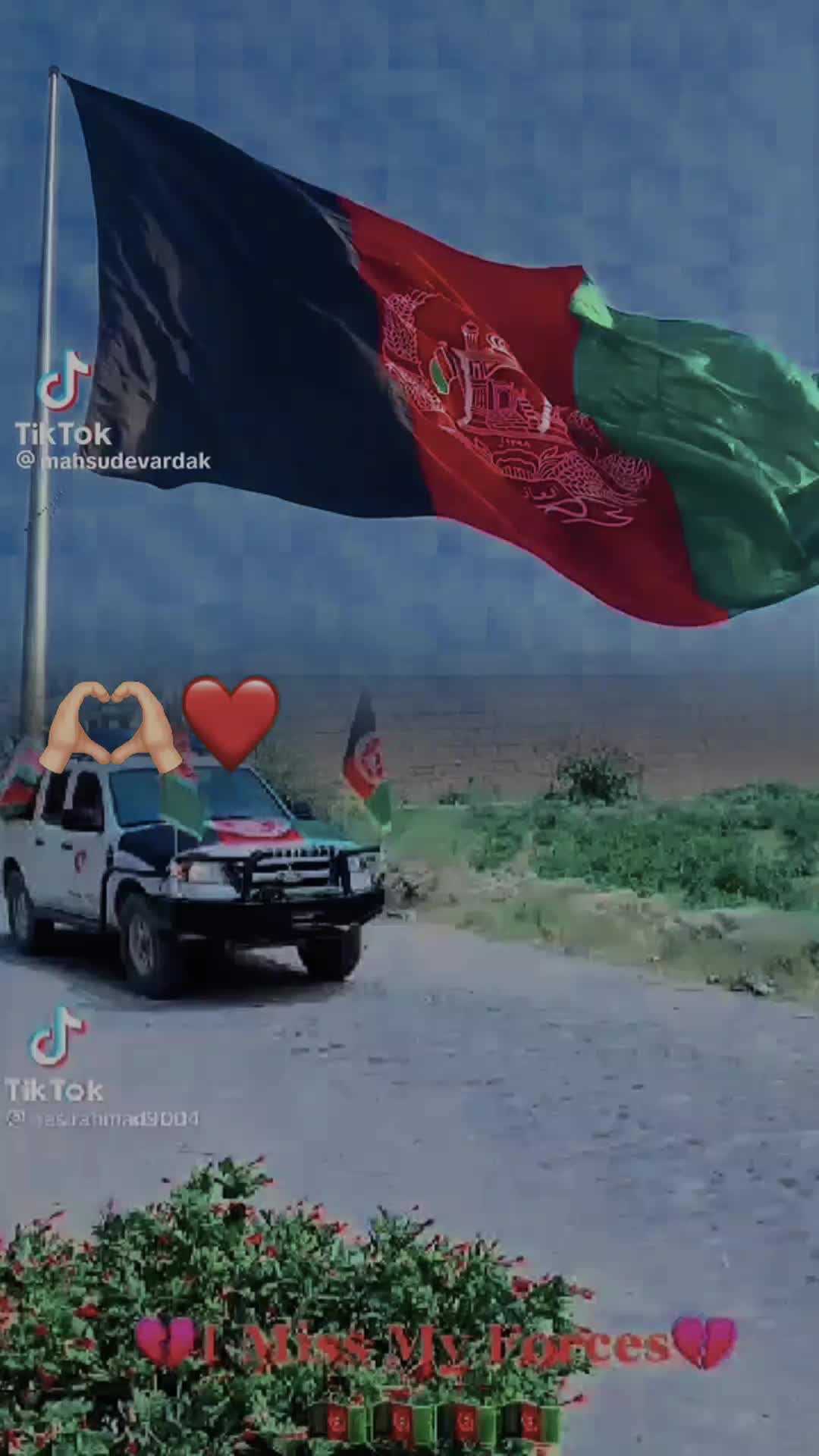 @NASEER SHIRZAD