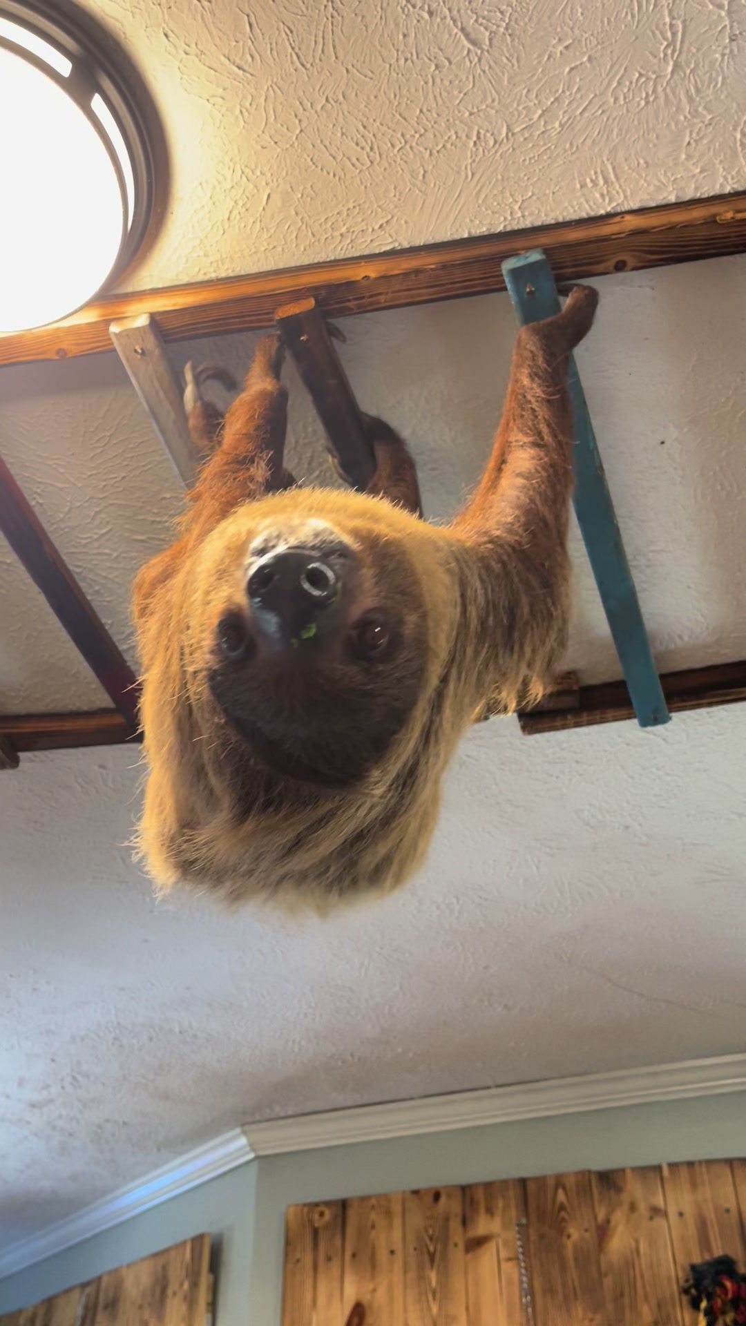@Full House Exotics