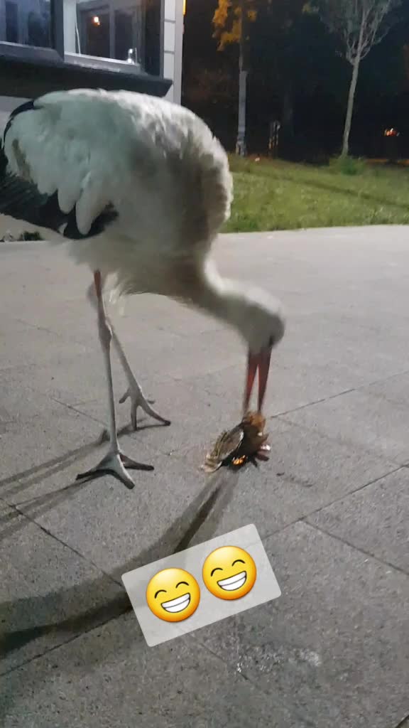 @๐น๐ทÜ๐
ป๐
บÜ ๐น๐ท