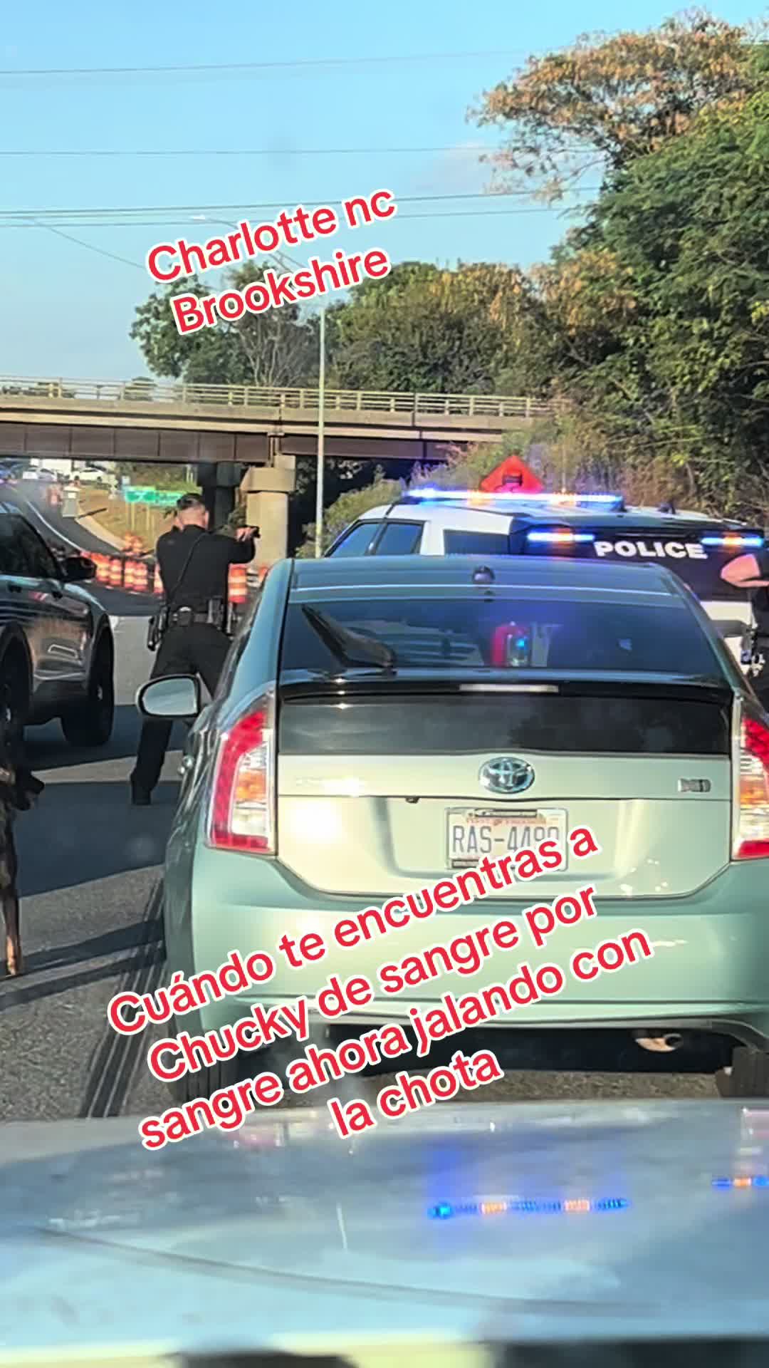 @antoniosalg